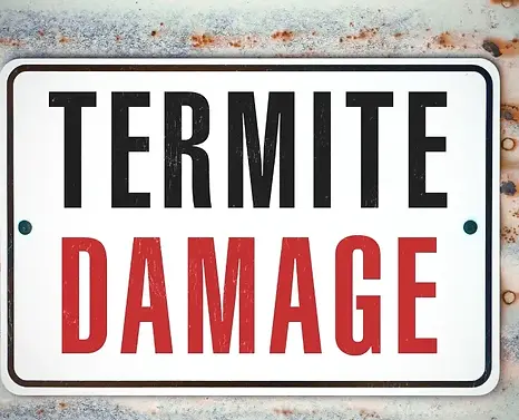Sign that says Termite Damage.webp