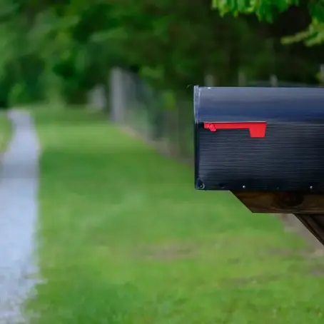 How to Get Rid of Earwigs in Your Mailbox in Temecula, CA