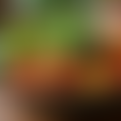 Colorful seasonal dishes featuring fresh local ingredients on a restaurant table