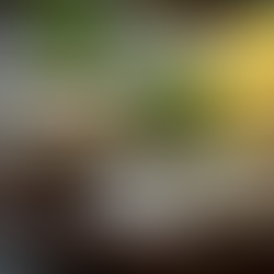 DISCOVER TOP RESTAURANTS ACROSS THE USA