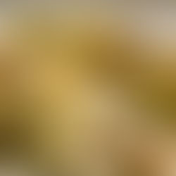 PANQUEQUES / CREPES FILLED WITH DULCE DE LECHE OHH YES!!!! DELICIOUS