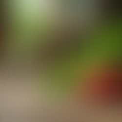 EXPLORE THE ULTIMATE RESTAURANT GUIDE