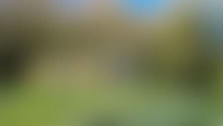 La chapelle de Saint-Roch