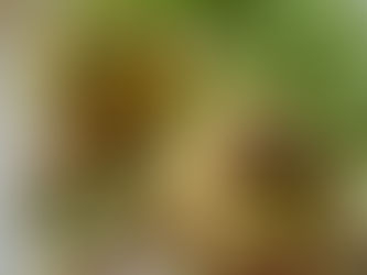 Julia Child's Eggs Benedict 