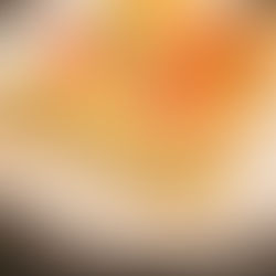 Sour Cream Chicken Enchiladas