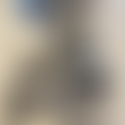 52. Liistuga töödeldud varrukalõhik.