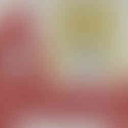 17. Pööratud lõkeservaga kandiribaga palistus