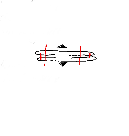 5 pagunid läbilõikejoonis