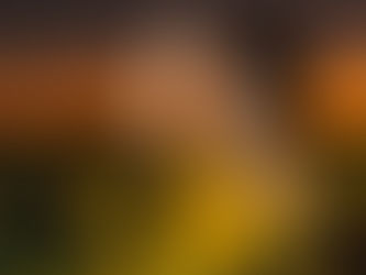 MELHORES HORÁRIOS PARA FAZER UM ENSAIO EXTERNO