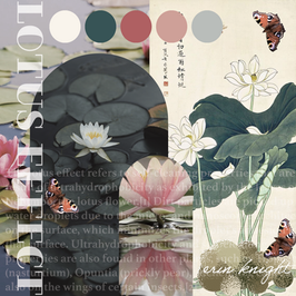 2022 Digital Collection