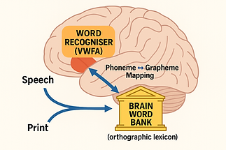 Word Mapping Mastery System