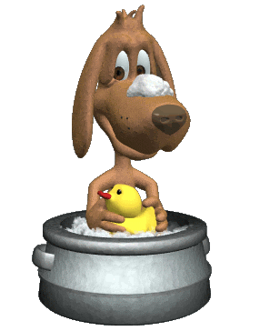 dog_dakota_take_a_bath_hg_clr.gif