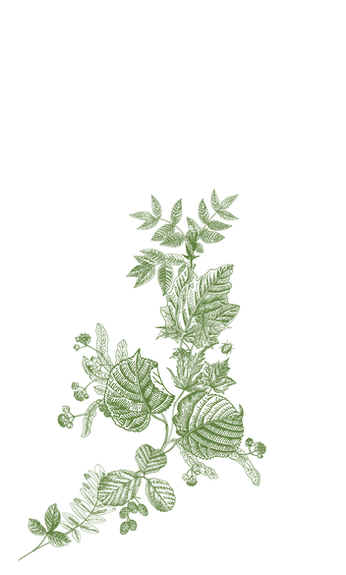 Leafy_wreath_2_G&W_t.png