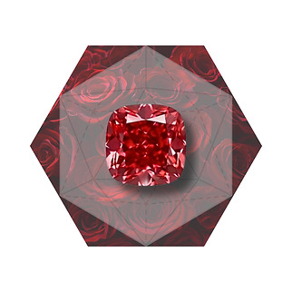 Fancy Color - -Website (2).png