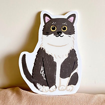line_oa_chat_260126_155852.jpg