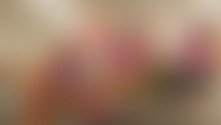 HealthJox Festival - Brooklyn, "Favorite Ladies Tournament" with NYC Rapper - "Diany Dior"!