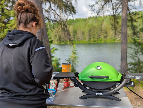 Q Weber grill