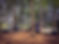PSX_20230711_113236.jpg