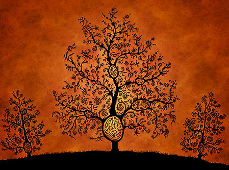 Constellations familiales individuelles