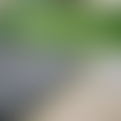 Hail Damage Prevention