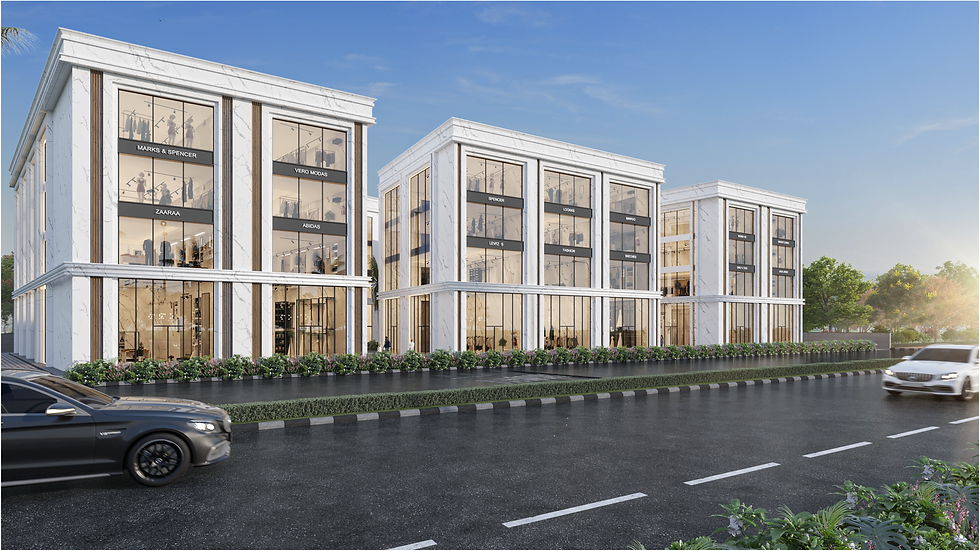 Buildaxis Developers real estate projects Delhi NCR