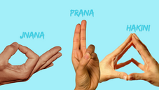 Unlocking the Cognitive Benefits of Yoga and Working Memory Training