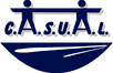 logo CASUAL