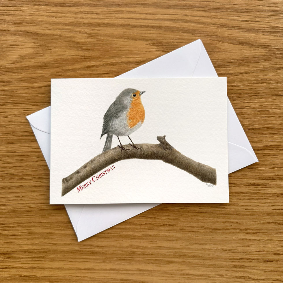 Thumbnail: A robin Christmas card, on a white envelope