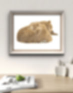 A mock of a Bear Portrait framed and hung up on the wall