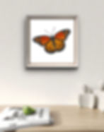 A mockup of a Butterfly Portrait framed and hung up on the wall