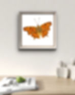 A mockup of a Butterfly Portrait framed and hung on a wall