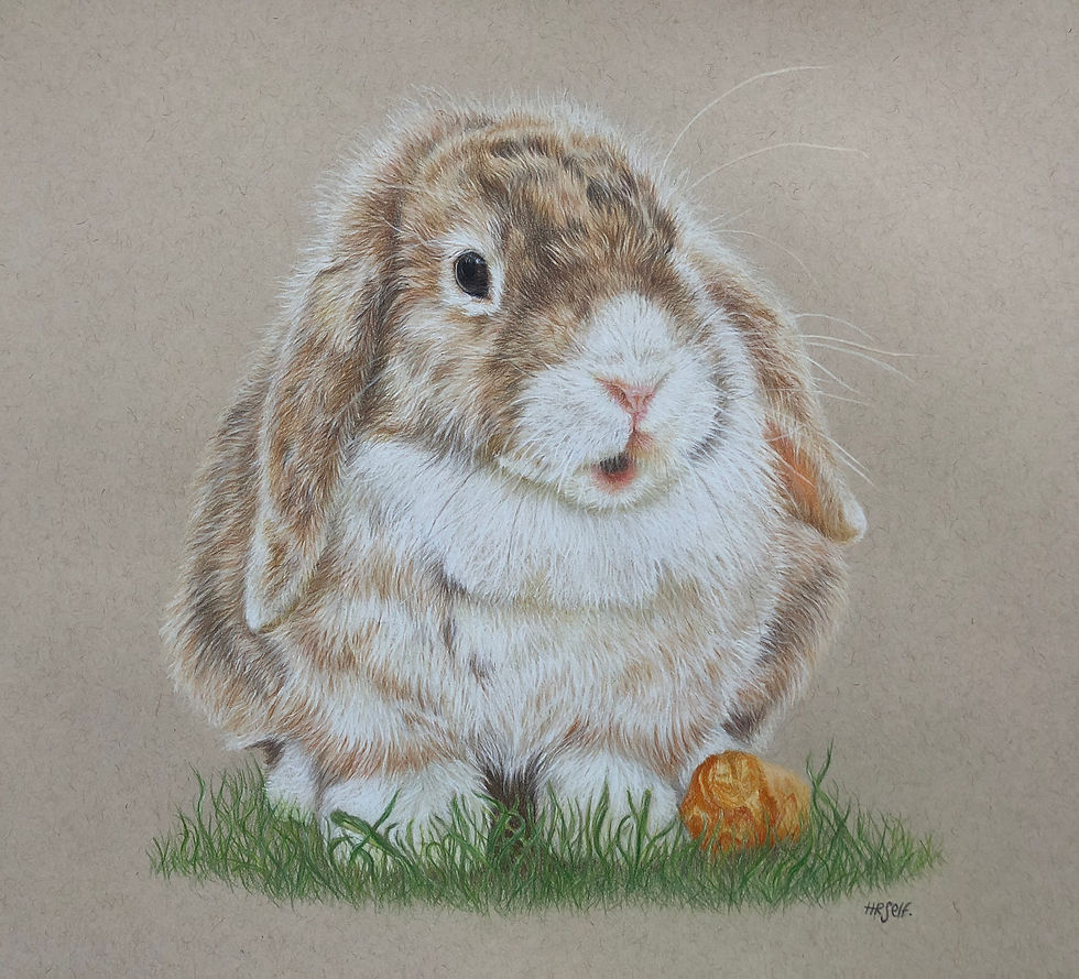 A Bunny Rabbit Portrait on toned paper, sitting in grass with a carrot by its side