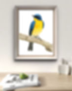 A mock-up of a Bird Portrait framed and hung on the wall