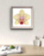 A mockup of a Orchid Portrait framed and hung on the wall
