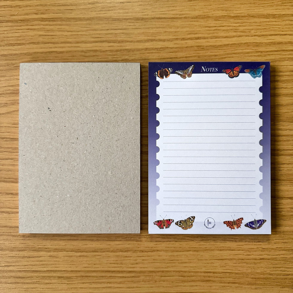 Another view of the butterfly notepad, showing the hard back