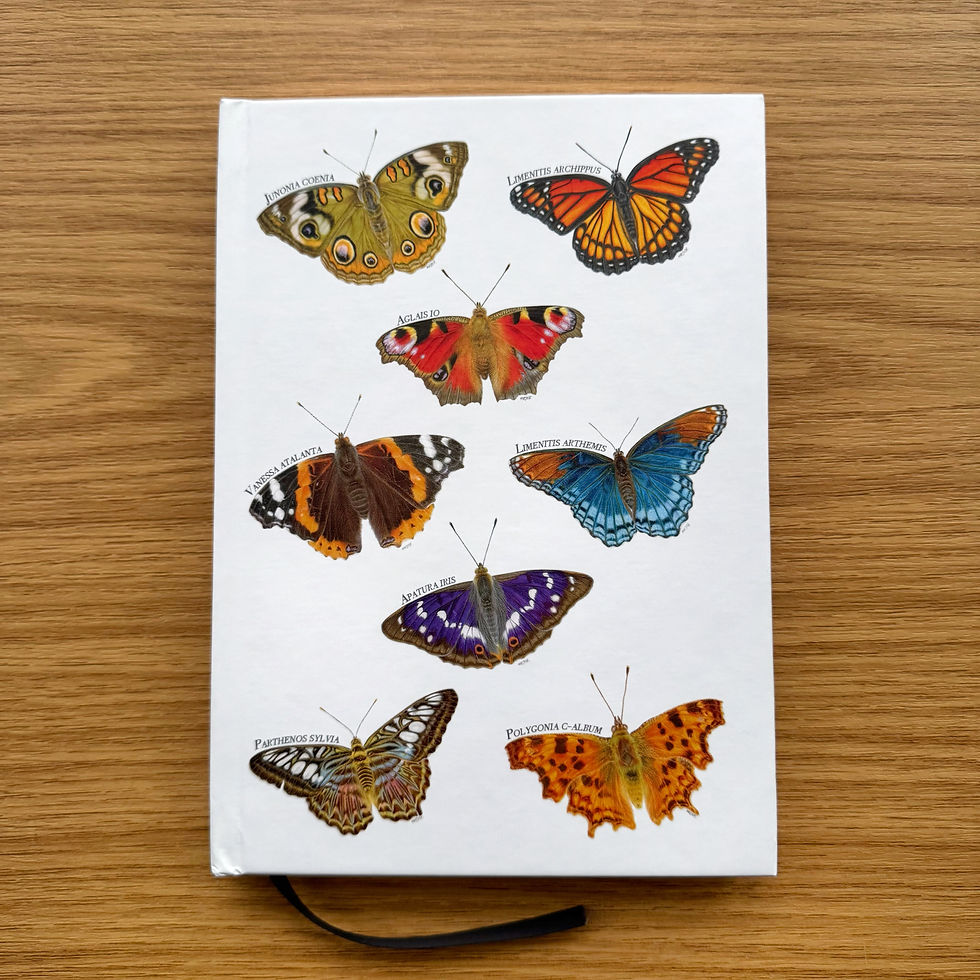 hardback notebook of multiple Butterflies which their latin names displayed