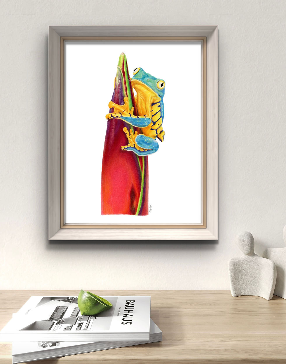 A mockup of a Tree Frog Portrait framed and hung up on the wall