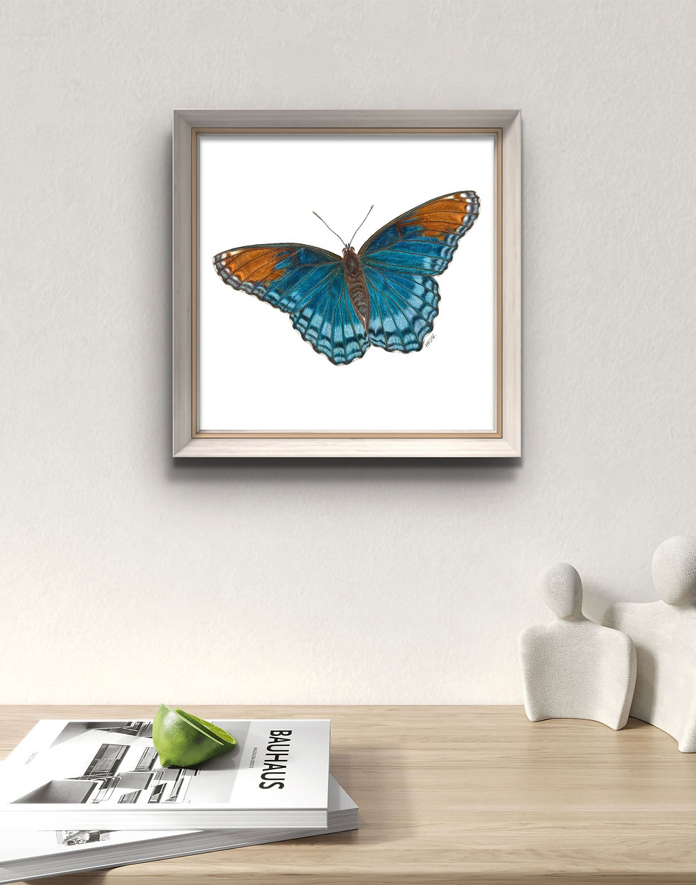 A mockup of a Butterfly Portrait framed and hung on the wall