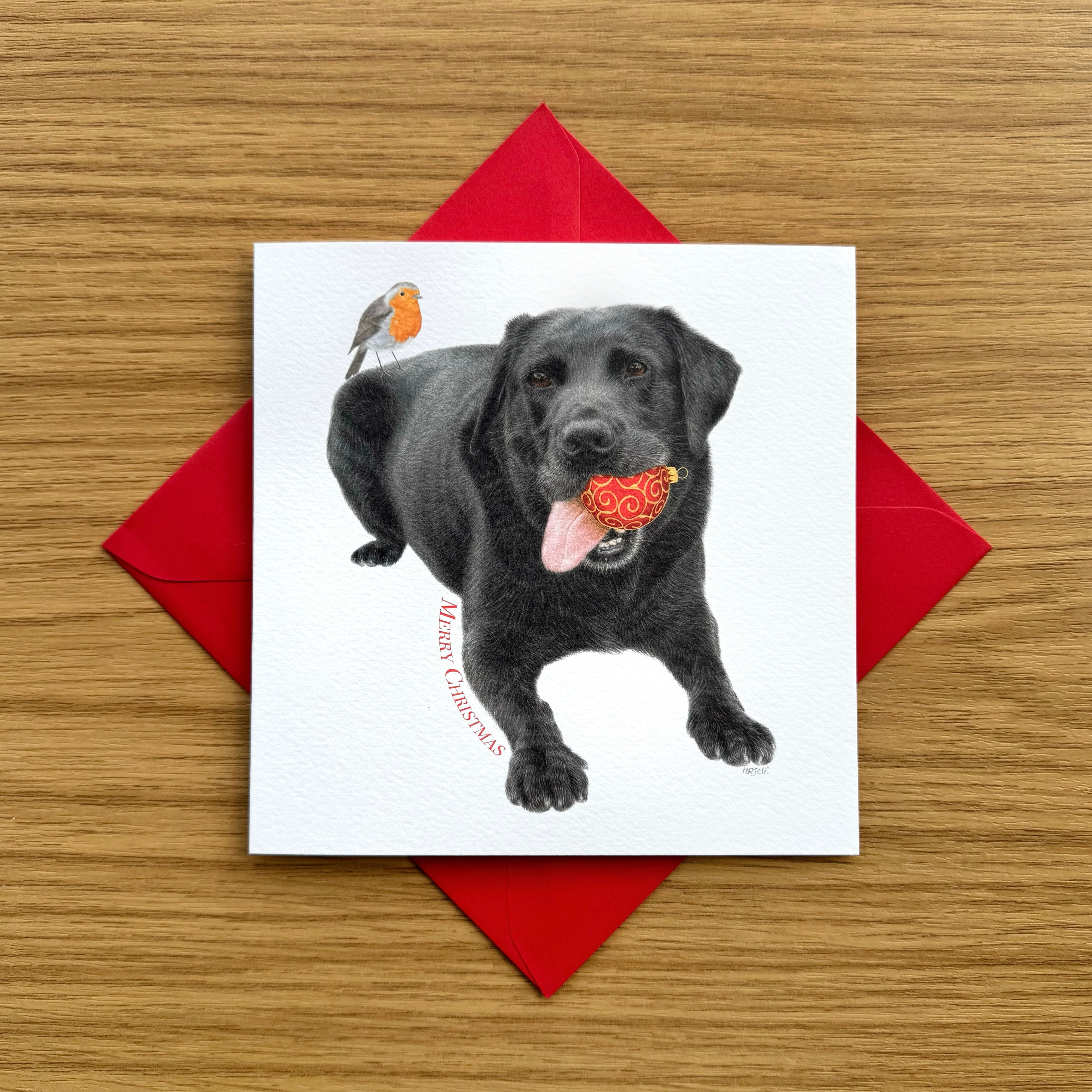 A black Labrador Christmas greeting card, on a red envelope