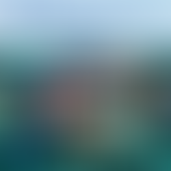 航空券+ホテル+レンタカー東京-那覇18,600円~