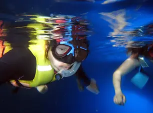 ボートシュノーケリングツアー <グロットシュノーケリング付きプランあり> byオーシャンクラブサイパン 4.50 (6) 2 プラン シェア