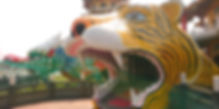 24462449_m_edited.jpg