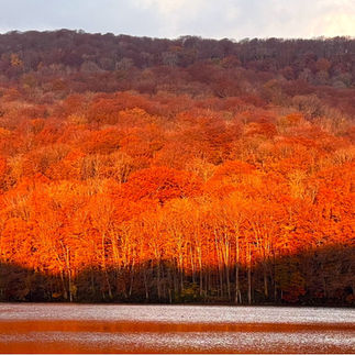 蔦沼の紅葉