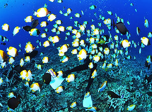 体験ダイビング マナ島