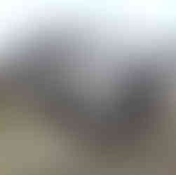 Q4:我們有 4 個大人 2 個小孩,行李箱很多,坐得下嗎? 我們的私人包車服務會根據您的人數與行李件數推薦合適車型 (如 Alphard 7人座或 Hiace 10人座)。Alphard (7人座): 建議 4-5 人乘坐,行李約可放 2-4 件大行李箱。Hiace (10人座): 適合 5-9 人家庭,後車廂空間充裕,可放置 8-10 件大行李箱。 預訂時請務必告知正確的行李數量,我們會為您精準規劃。