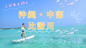 沖縄中部・比謝川|マングローブリバーサップ体験で大自然を満喫
