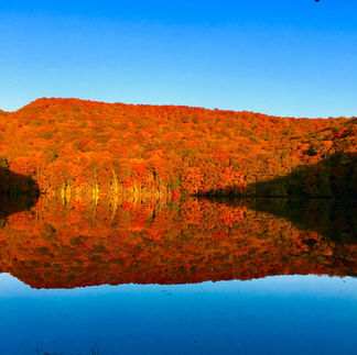 蔦沼の紅葉