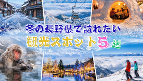 ❄️ 冬だからこそ美しい、長野県の感動観光スポット5選