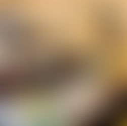 可愛いハンドメイドパーツが約2000点!「プアカリーカ」