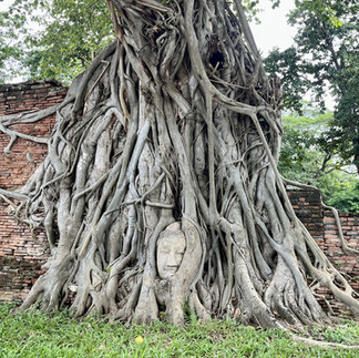 ワット・マハータート